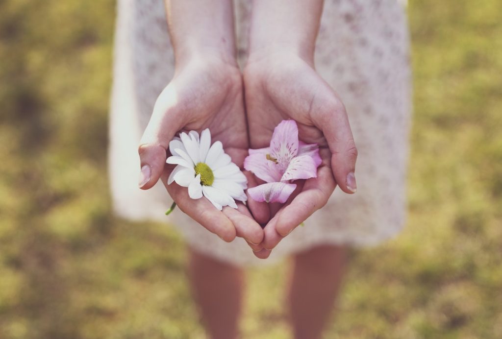 A person holding two flowers in both their hands outdoors in a field. 